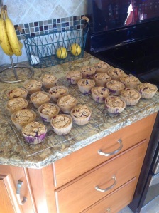 blueberry muffins copy