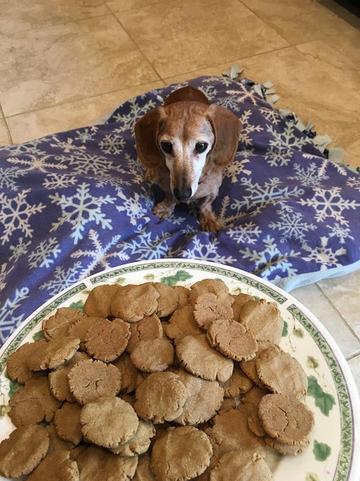 Peanut Butter Oat Dog Cookies